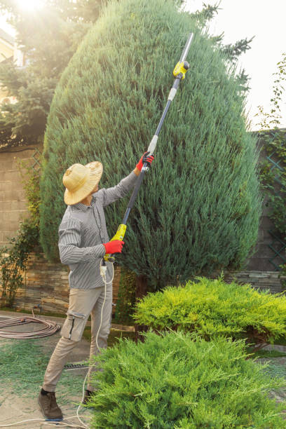 Lawn Watering Services in Waterville, WA